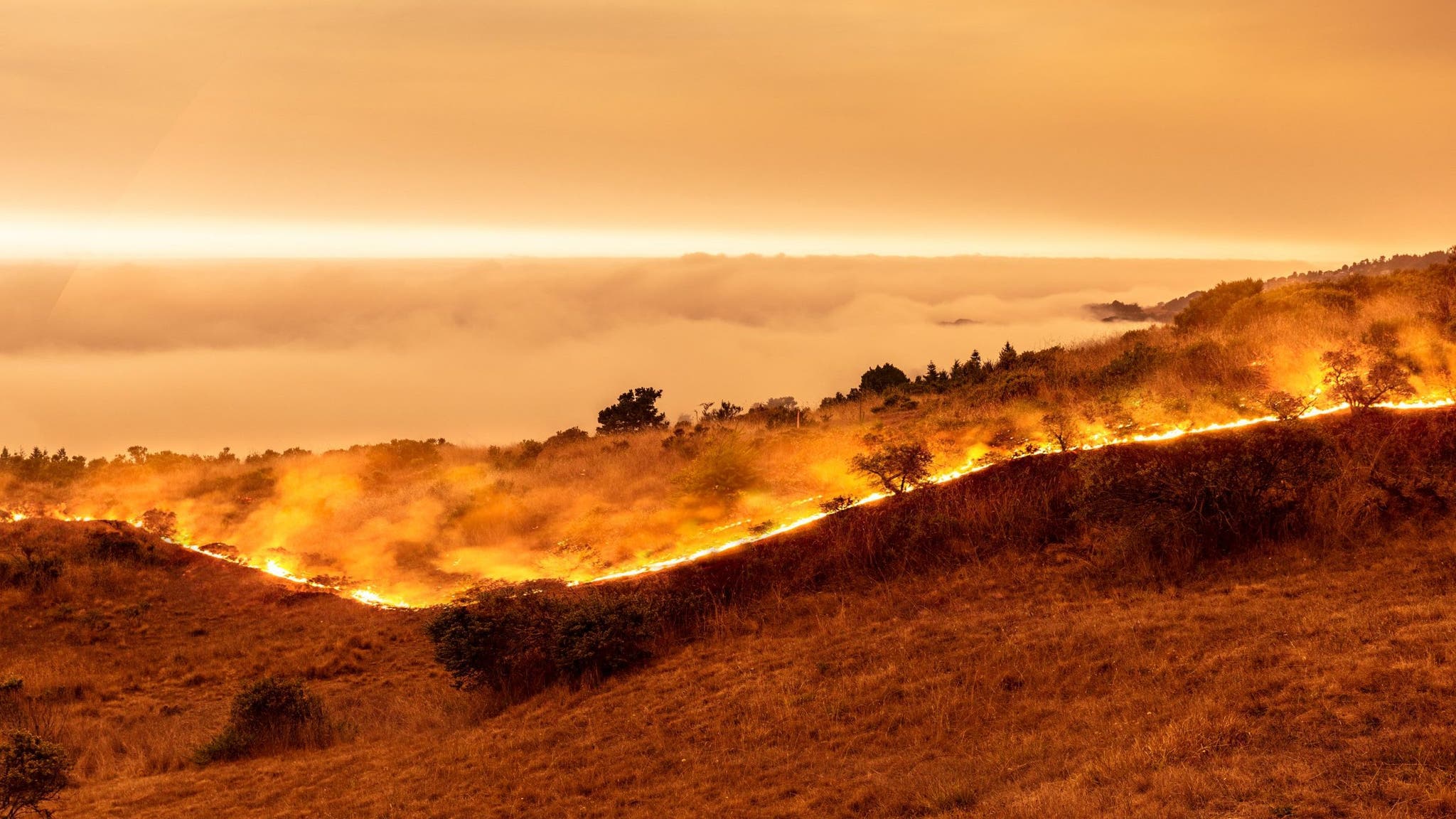 Wildfire on California coast - Sonoma County by ocean with view above marine layer.