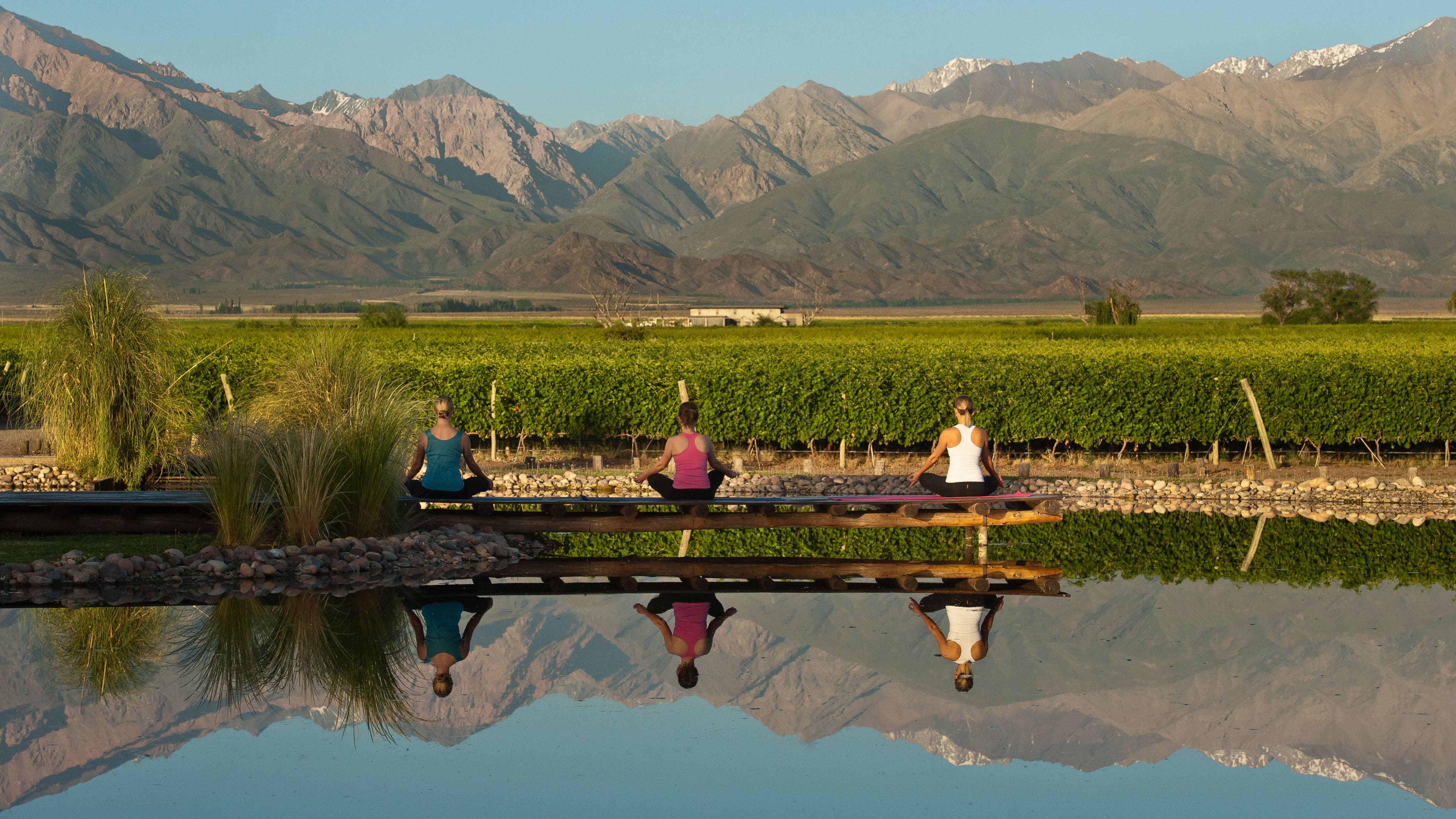 Vines Travel Resort Vines Vineyard Andes