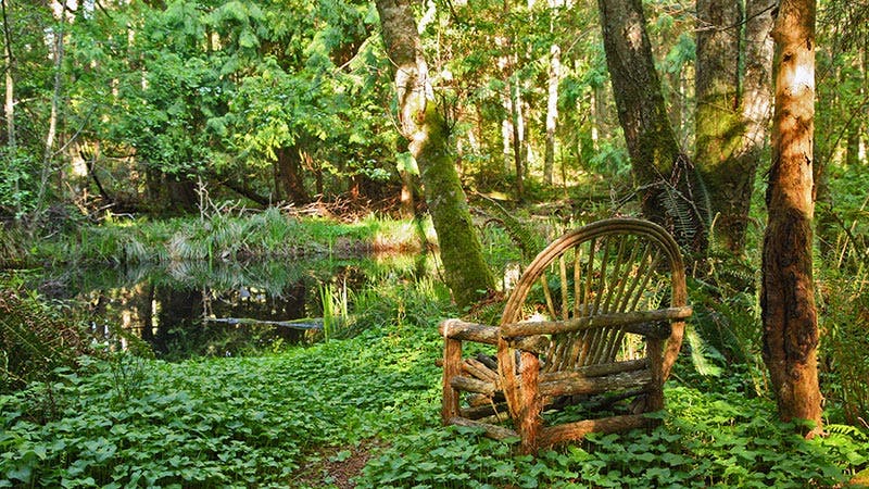 Yin & Yang Spring Balancing Retreat on Whidbey Island, Washington