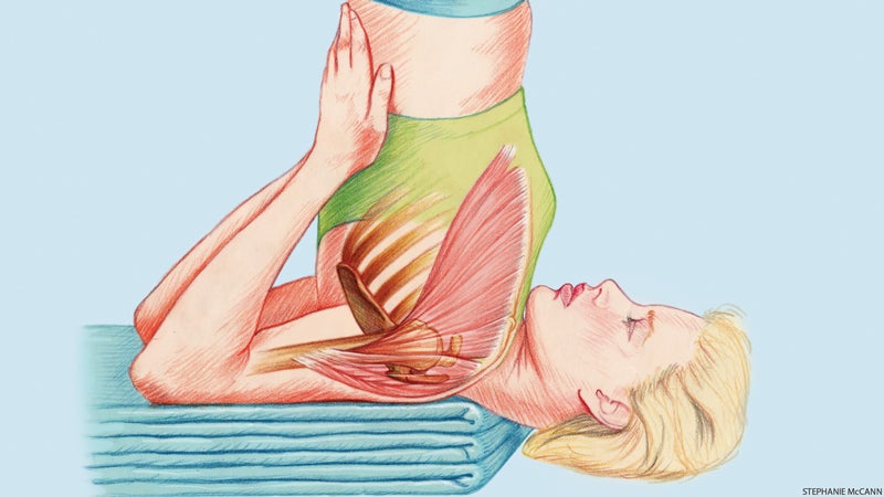 THE SHOULDERSTAND - Anatomy of Hatha Yoga: A Manual for Students, Teachers,  and Practitioners