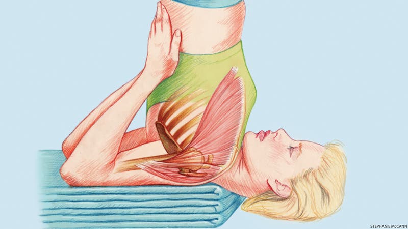 Anatomy of Shoulderstand neck anatomy