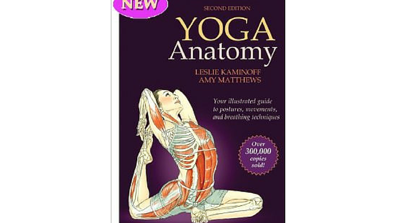 Yoga Vriksha Sana | PDF | Asana | Human Anatomy