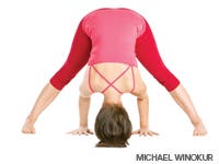 Image placeholder title None