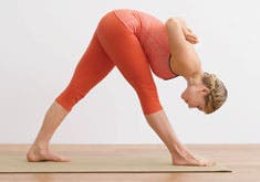 parsvottanasana