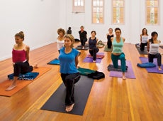 ©2006 Ciro Coelho. All Rights Reserved.
Reproduction or unauthorized use of this image is prohibited and is subject to criminal prosecution in accord with U.S. and International Copyright laws.