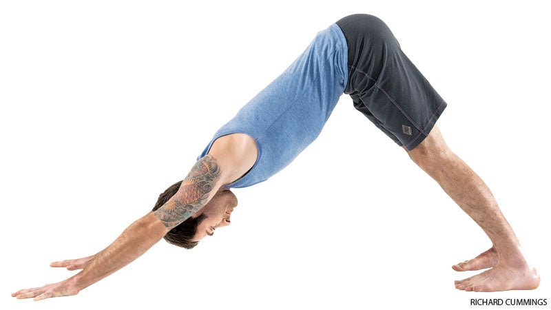 Sequence from Shoulder Stand to Fish Pose in Yoga - Track Yoga