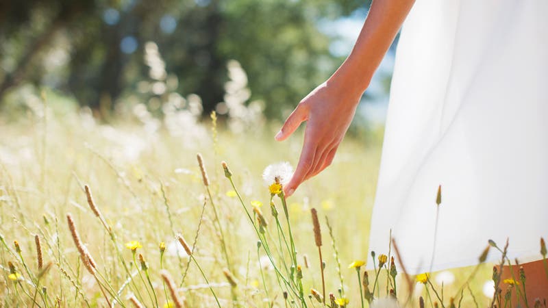 integrity wisdom walking field