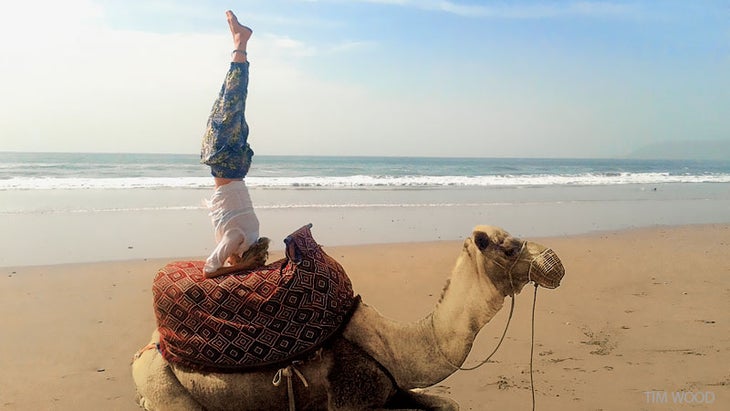 https://cdn.yogajournal.com/wp-content/uploads/2014/09/reader-doing-a-handstand-on-camel.jpg?width=730