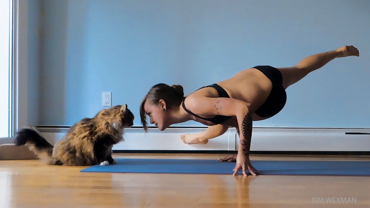 Yoga Mats for Dogs, Cats, Pets, Animals – Pet Yogis