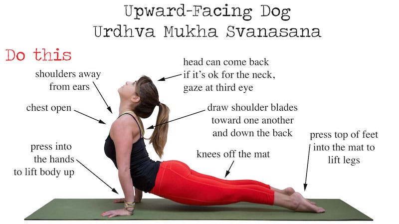 Candace Moore Upward-Facing Dog Do This