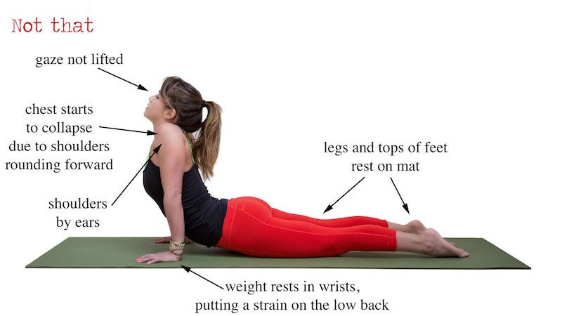 Pose of the Week Guide: Upward Facing Dog Pose - Oxygen Yoga Fitness