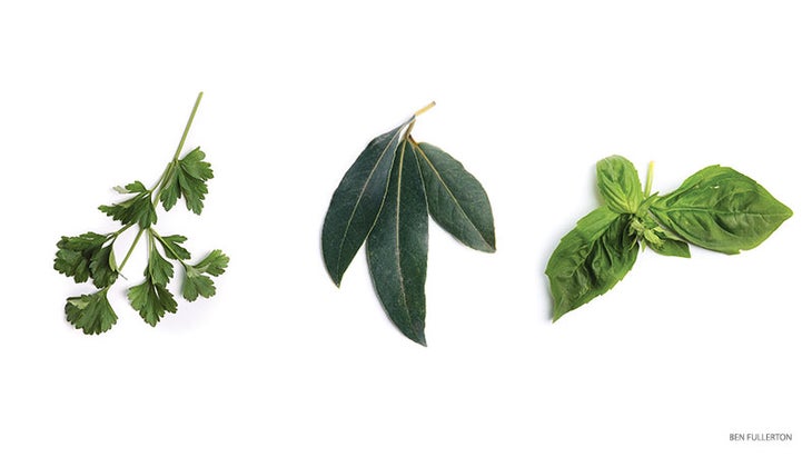 201504-yjmag-herbs