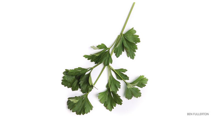 201504-yjmag-parsley