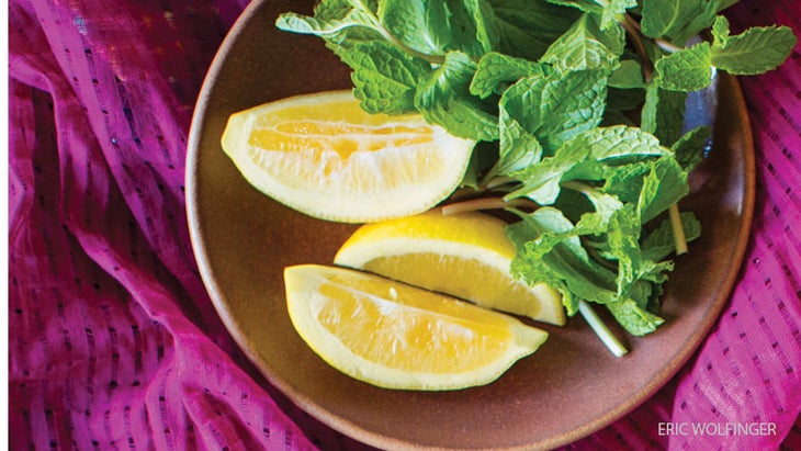 sliced lemons plate of sliced lemons