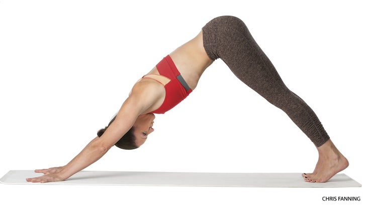 Adho Mukha Vrksasana - Handstand — YOGARU