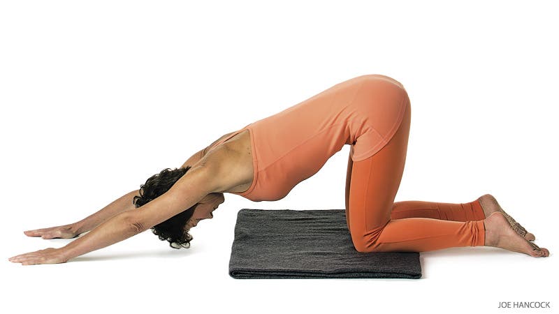 201506-yjmag-puppy-viniyoga