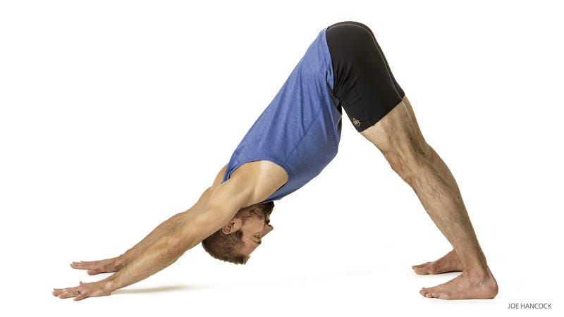 Downward Facing Dog Ashtanga