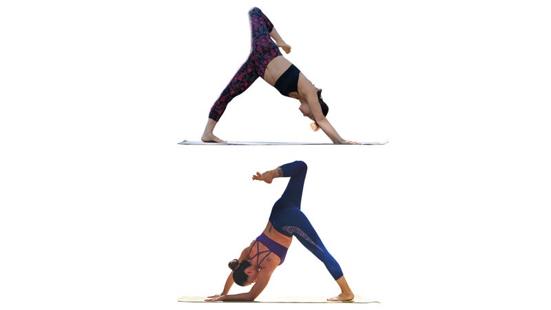 pinchamayurasana. Here are 4 options. Start in dolphin pose. It's similar  to downdog but on your forearms. Then exten… | Dolphin pose, Teaching yoga,  Yoga postures