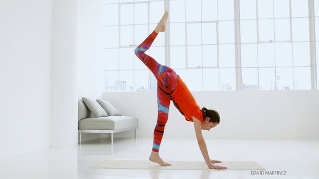 10 Things Yoga Newbies Must Know