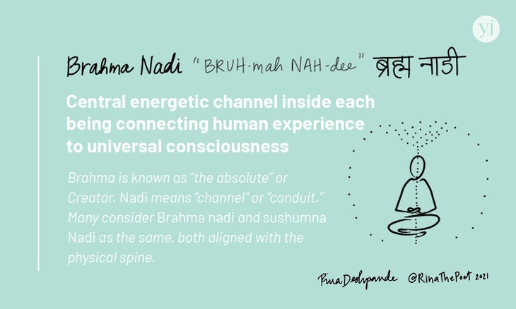 An illustrated card with the definition of the Sanskrit word "Brahma Nadi"