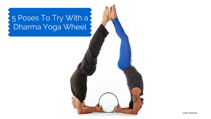 Yoga poses with yoga wheel. Young woman practicing Yoga pose