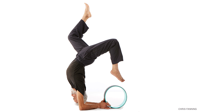 Dharma Yoga Wheel