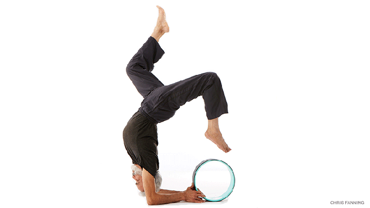 How the Dharma Yoga Wheel Can Aid Your Practice - Sonima