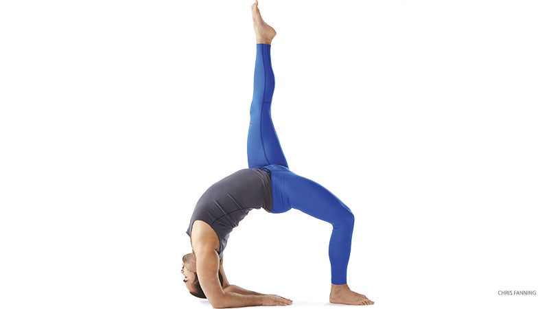 Yoga Anatomy: Tree Pose (Vrksasana) | Om Yoga Magazine
