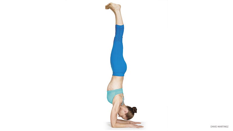 Practice forearm stands with support from the Trapeze