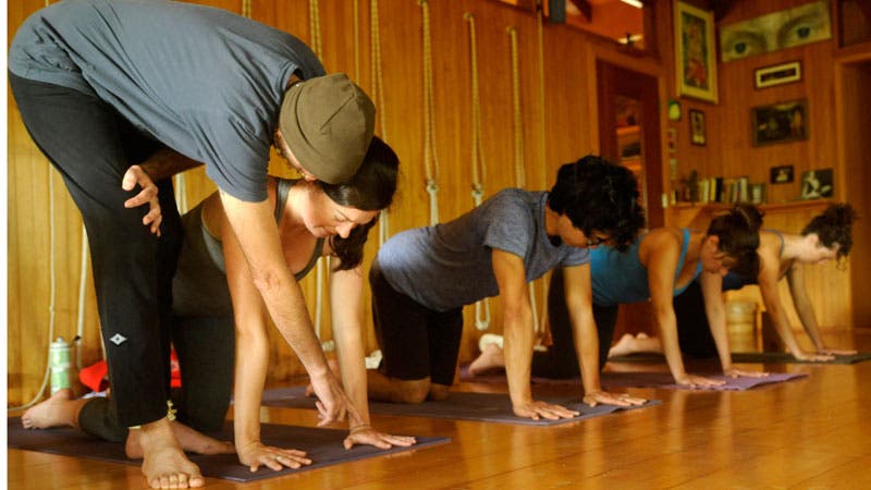 Eddie Modestini teaching a vinyasa yoga class. Eddie Modestini teaching a vinyasa yoga class