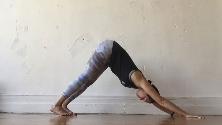 Rae Broderick in Downward-Facing Dog Rae Broderick in Downward-Facing Dog pose, ado mukha svana
