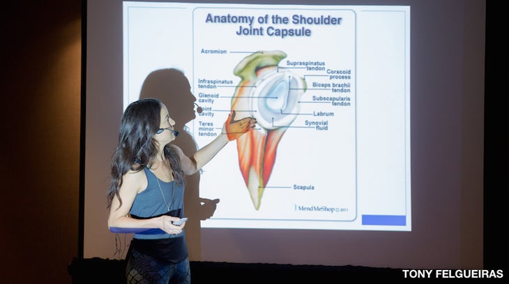 Anatomy of the Shoulder Girdle