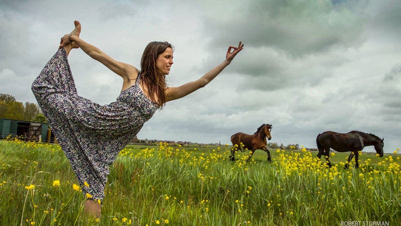 dancer's pose, natarajasana
