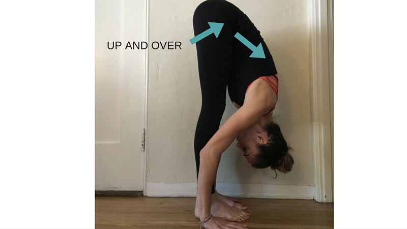 Seated Forward Bend - Yoga Basics