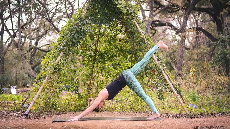 Leah Cullis performs Downward-Dog Splits. Leah Cullis performs Downward-Dog Splits.