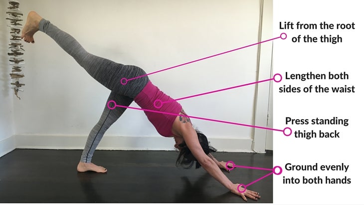 Three-Legged Downward Dog Dissected