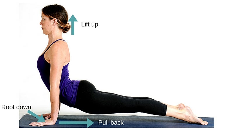 Amazing Benefits of Cobra and Upward Dog Yoga Pose! - Yogallai | Easy yoga  workouts, Yoga benefits, Yoga tips