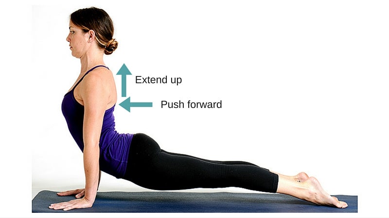Urdhva Dhanurasana (Upward Bow Pose) | Yoga Selection