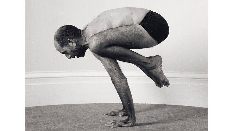 Vinyasa 101: Why Downward-Facing Dog Is the Secret to Crane Pose