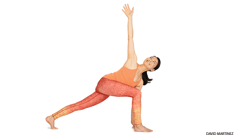 OC: Click and drag for a random beginner yoga pose! - GIF - Imgur