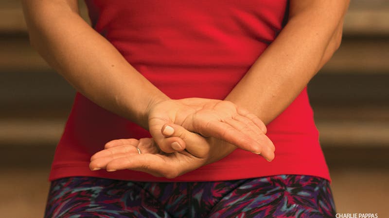 Garuda Mudra Garuda Mudra