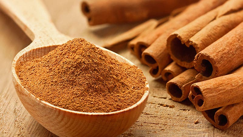 Cinnamon Cinnamon used for essential oils