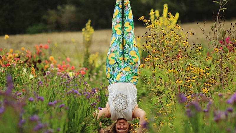 Harvest, Breath and Bounty at Lotus Feed Farm, Sonoma County