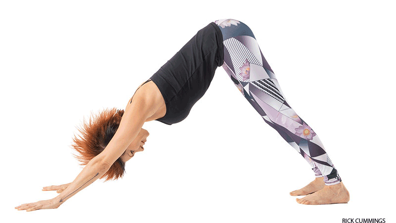 Run the Dog sadie nardini Run the Dog sadie nardini