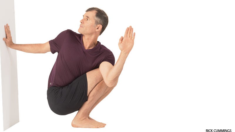 Side Crane Pose (Parsva Bakasana) - Sarvyoga | Yoga