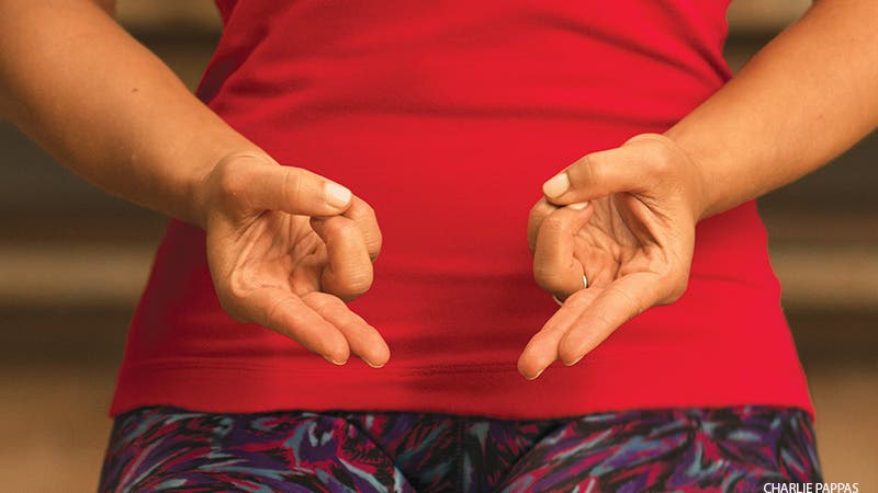 Prana Mudra Prana Mudra