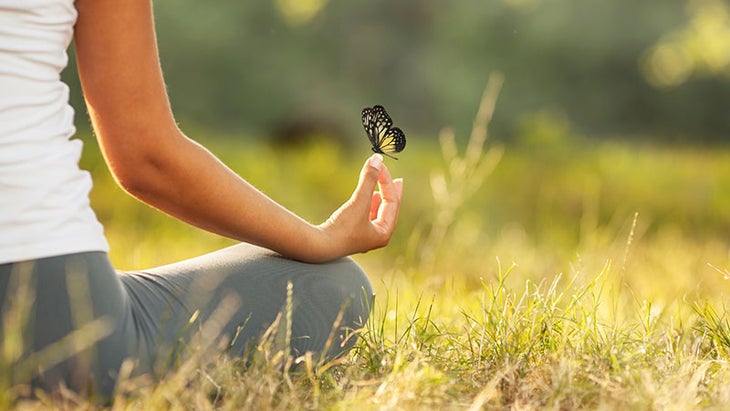 meditation, mindfullness, butterfly meditation, mindfullness, butterfly