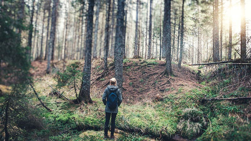 FOREST, WOODS, OUTDOORS MEDITATION IN FOREST, WOODS