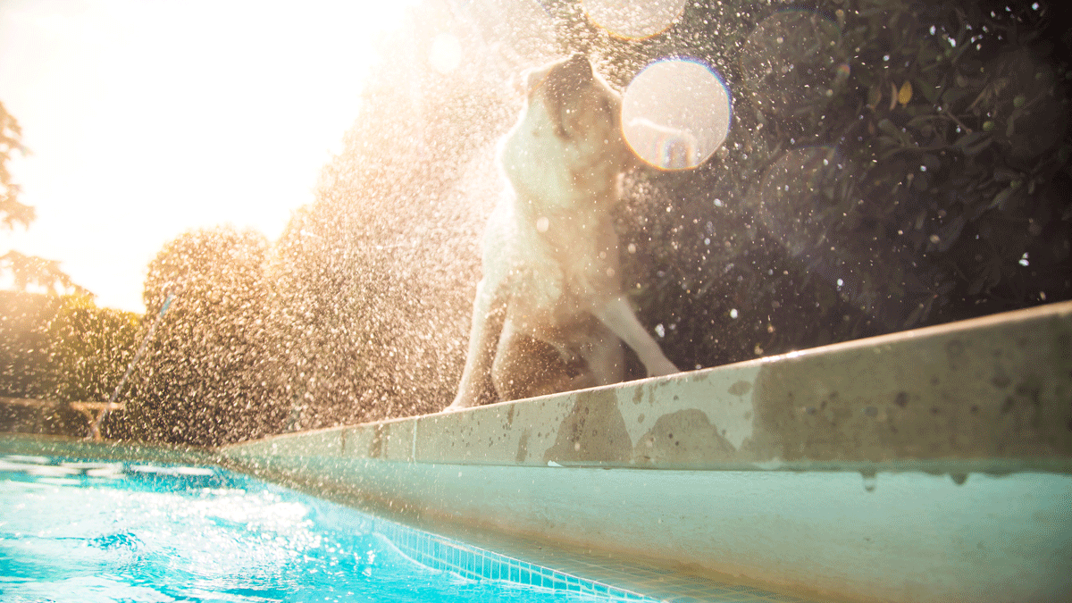 3 Ways to Cool Down During Late Summer, According to Ayurveda