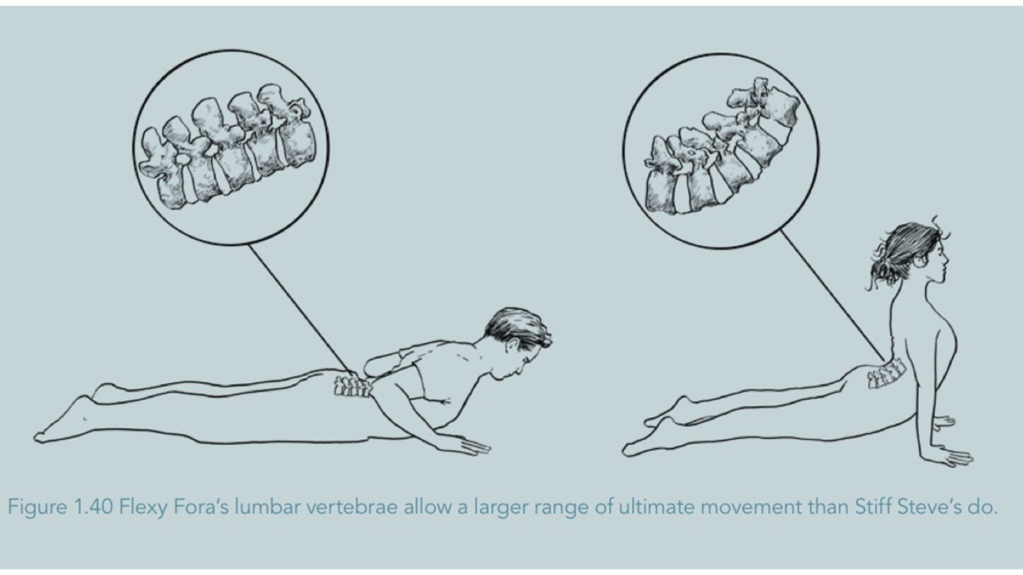 Why Inflexibility May Not Be What’s Stopping You From Doing That Pose